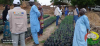 visite chef antenne au tchad 2
